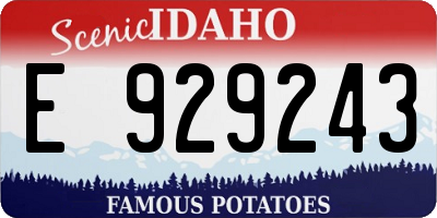 ID license plate E929243