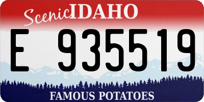 ID license plate E935519
