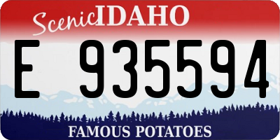ID license plate E935594