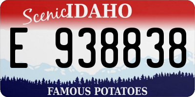 ID license plate E938838