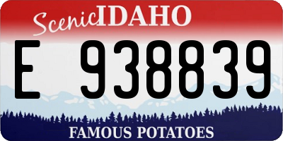 ID license plate E938839
