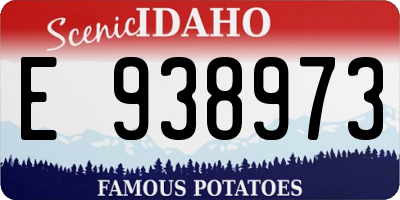 ID license plate E938973