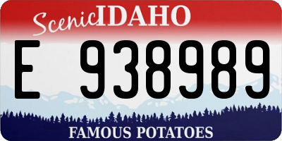 ID license plate E938989