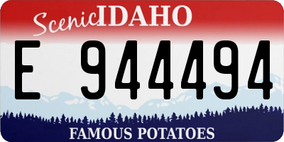 ID license plate E944494