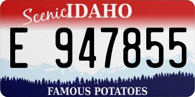 ID license plate E947855