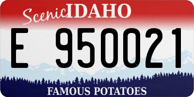 ID license plate E950021