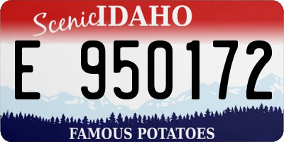 ID license plate E950172