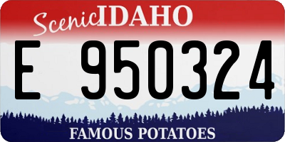 ID license plate E950324