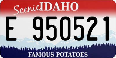 ID license plate E950521