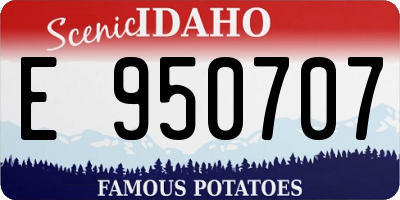 ID license plate E950707
