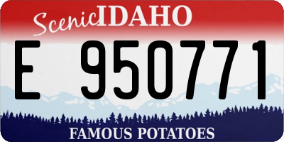ID license plate E950771