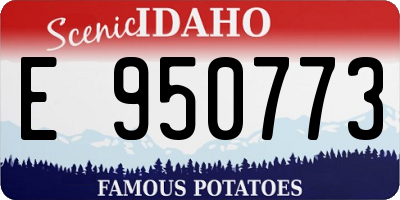 ID license plate E950773