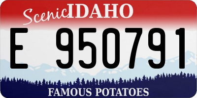 ID license plate E950791