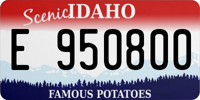 ID license plate E950800