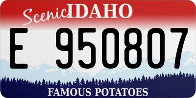ID license plate E950807