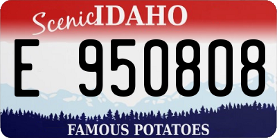 ID license plate E950808