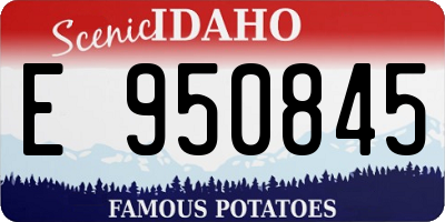 ID license plate E950845