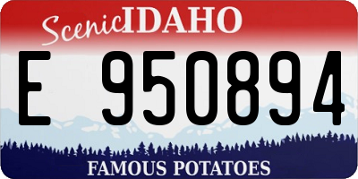 ID license plate E950894