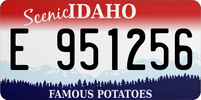 ID license plate E951256