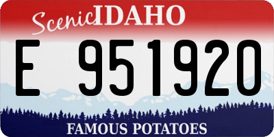 ID license plate E951920