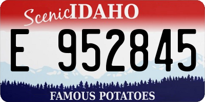 ID license plate E952845