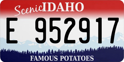 ID license plate E952917