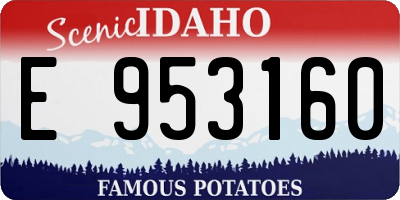 ID license plate E953160
