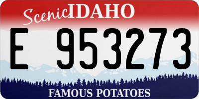 ID license plate E953273
