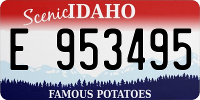 ID license plate E953495