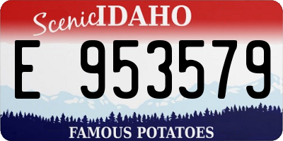 ID license plate E953579