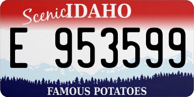 ID license plate E953599