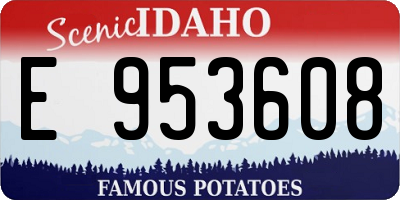 ID license plate E953608
