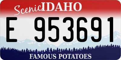 ID license plate E953691