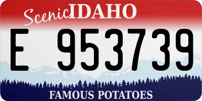 ID license plate E953739