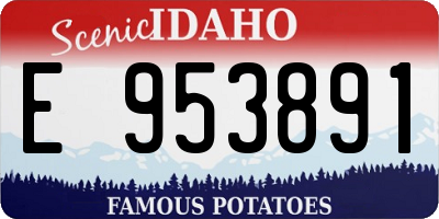 ID license plate E953891