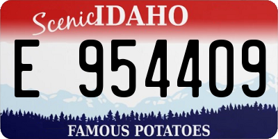 ID license plate E954409