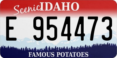ID license plate E954473