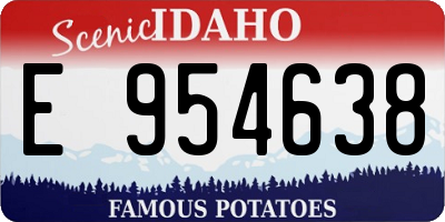 ID license plate E954638