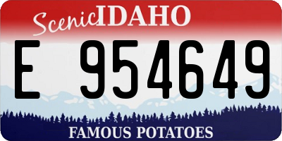 ID license plate E954649