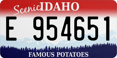 ID license plate E954651