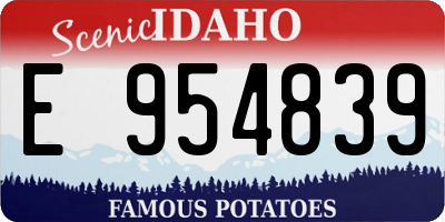 ID license plate E954839