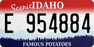 ID license plate E954884