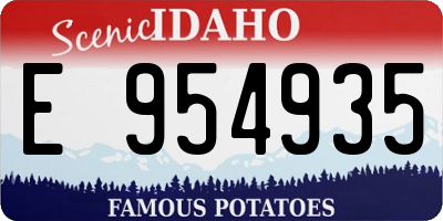 ID license plate E954935