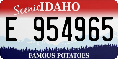 ID license plate E954965