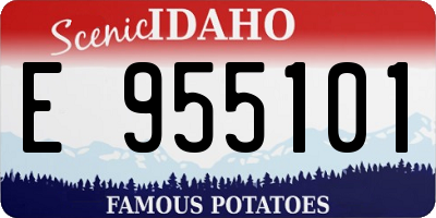 ID license plate E955101