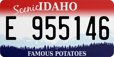 ID license plate E955146