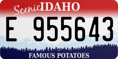 ID license plate E955643