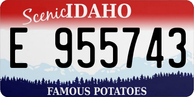 ID license plate E955743