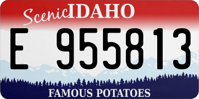 ID license plate E955813