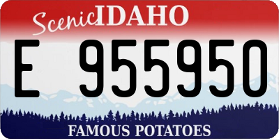 ID license plate E955950